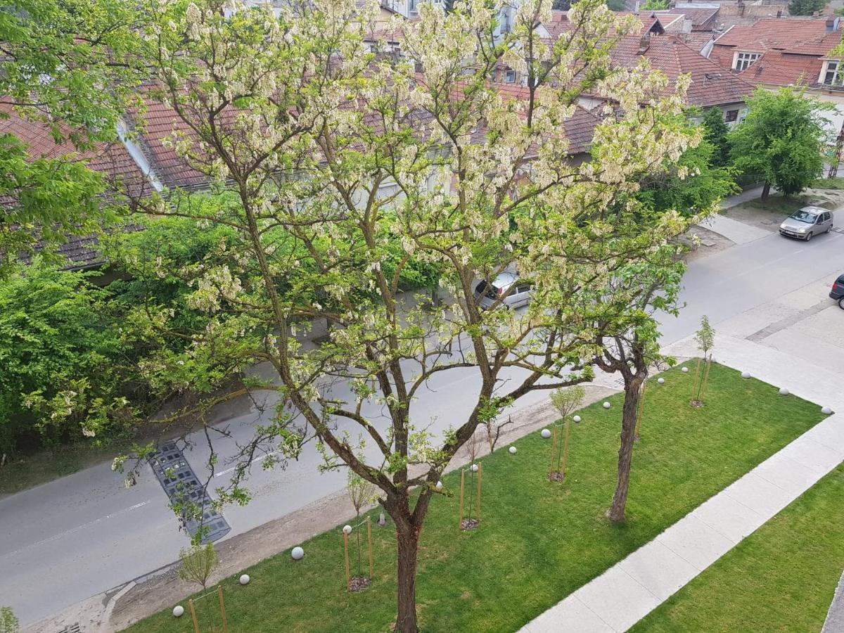 Aurora Apartman Szabadka Kültér fotó